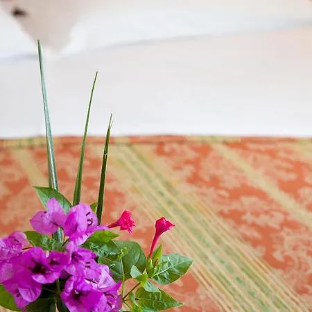 Il Caminetto 4* Porto San Giorgio